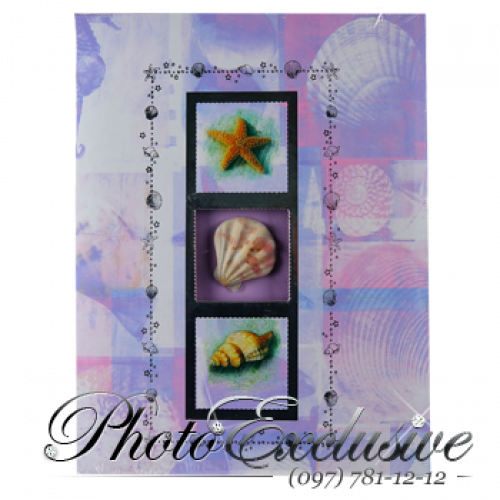 200ф. Ракушка